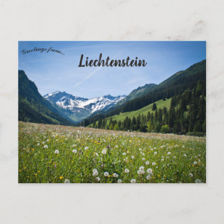 Dandelions in Steg Liechtenstein Postcard