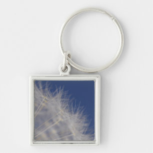 Dandelions Keychain
