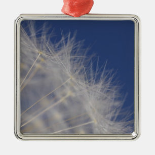 Dandelions Metal Ornament