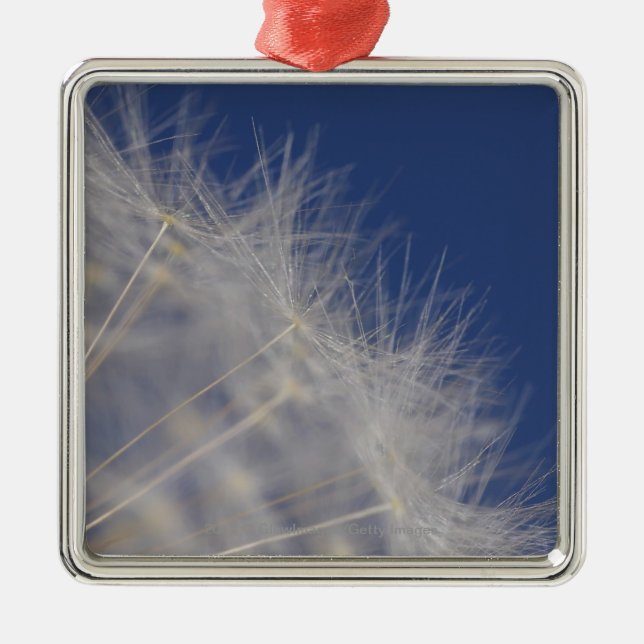 Dandelions Metal Ornament (Front)