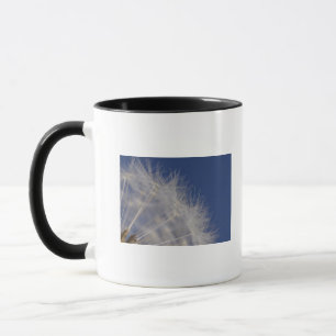 Dandelions Mug