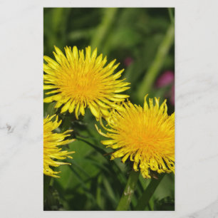 Dandelions Stationery