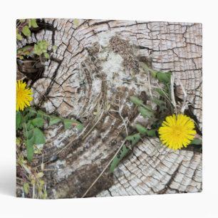 Dandelions still-life binder