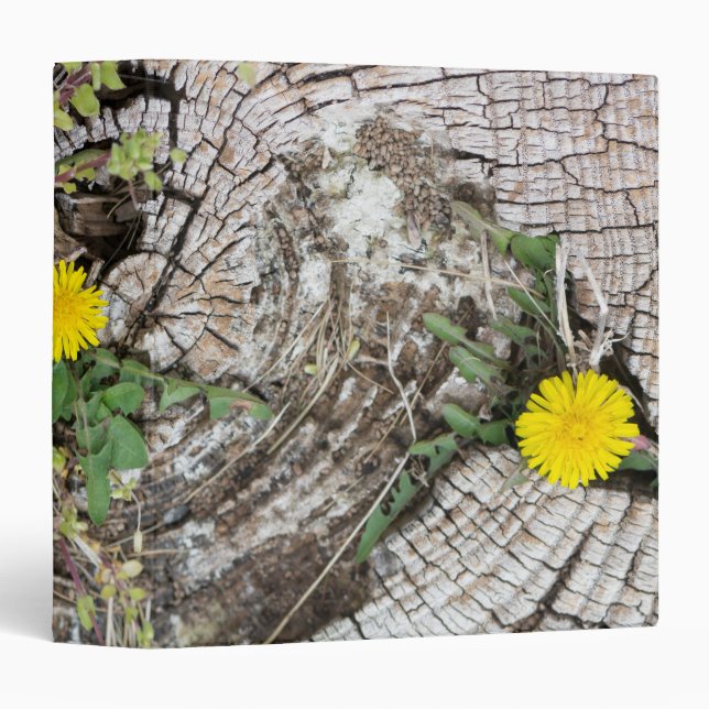 Dandelions still-life binder (Front/Spine)