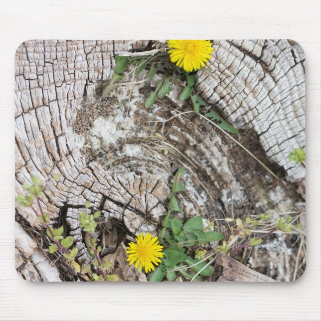 Dandelions still-life mouse pad (Front)