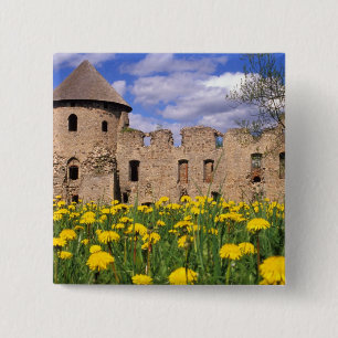 Dandelions surround Cesis Castle in central 2 Inch Square Button