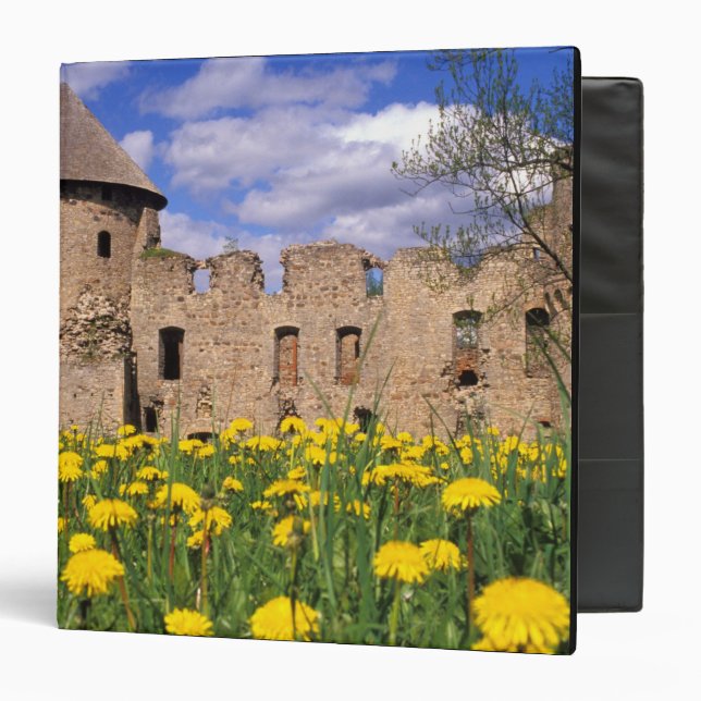 Dandelions surround Cesis Castle in central Binder (Front/Inside)