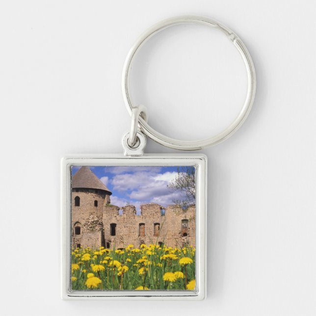 Dandelions surround Cesis Castle in central Keychain (Front)