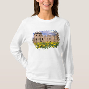 Dandelions surround Cesis Castle in central T-Shirt