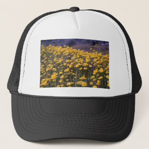 Dandelions Trucker Hat