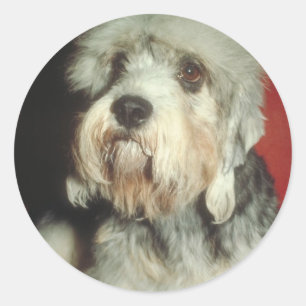 Dandie Dinmont Terrier Classic Round Sticker