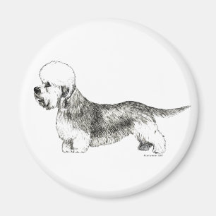 Dandie Dinmont Terrier Magnet