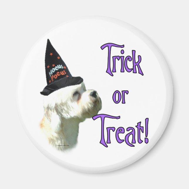 Dandie Dinmont Terrier Trick Magnet (Front)
