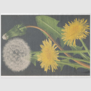 Dandilion Furniture Decoupage Paper