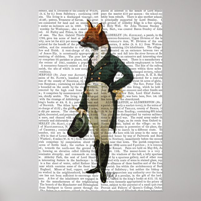Dandy Fox Full Poster (Front)