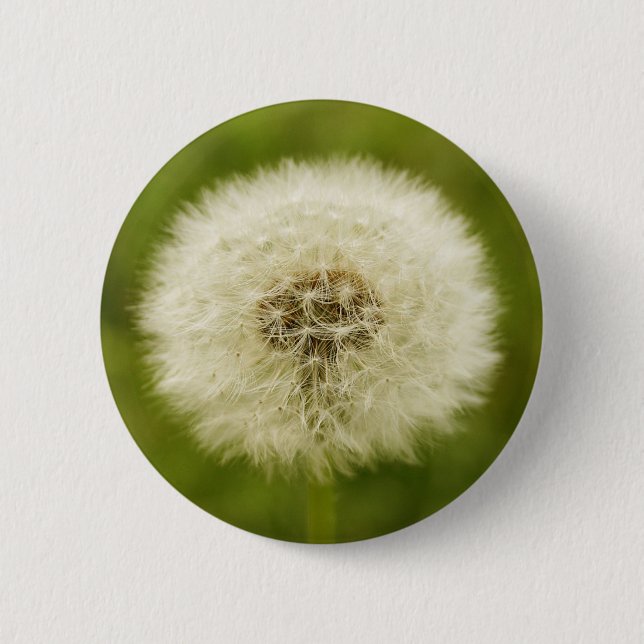 Dandy Lion 2 Inch Round Button (Front)
