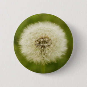 Dandy Lion 2 Inch Round Button