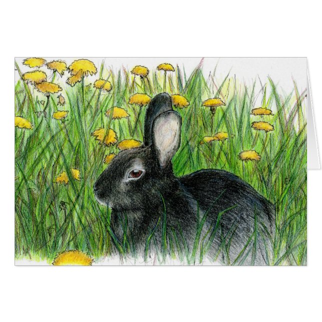 DANDY LIONS (Front Horizontal)