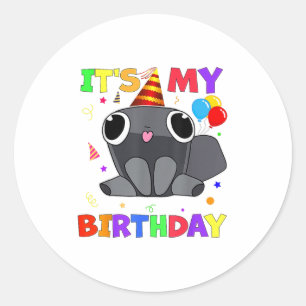 Dandys Pebble Birthday Decoration World For Kids B Classic Round Sticker