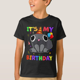 Dandys Pebble Birthday Decoration World For Kids B T-Shirt