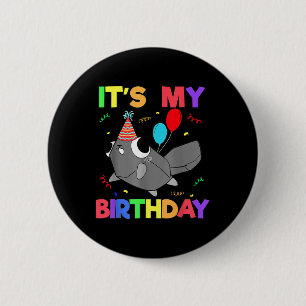Dandys World Pebble Birthday Decoration For Kids B 2 Inch Round Button