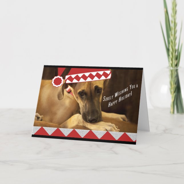 Dane Holiday (Front)