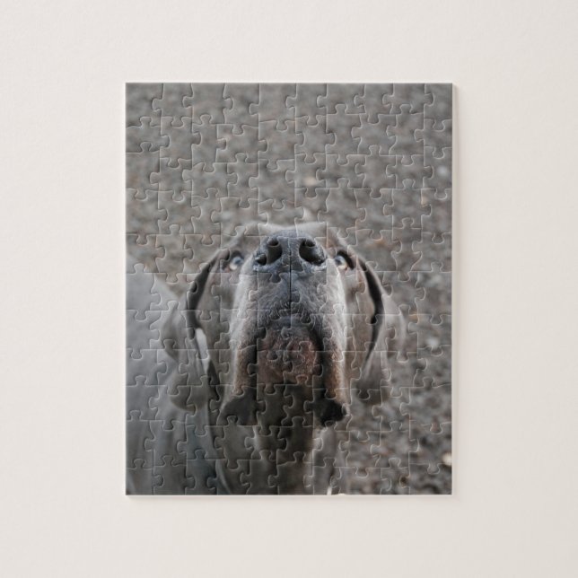 Danemark Puzzle (Vertical)