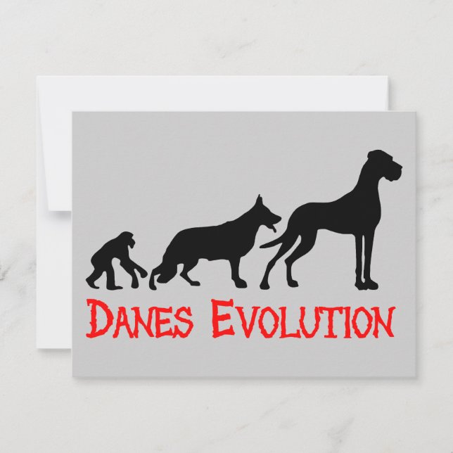 Danes Evolution (Front)