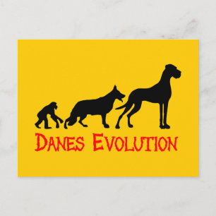 Danes Evolution Postcard