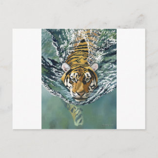 Danger Ahoy! Postcard