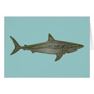 Danger - Wild Sharks