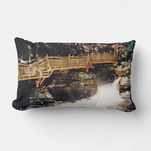 Dangerous Path Lumbar Pillow (Front)