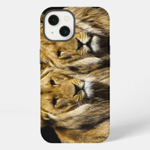 Dangerous Predator Lions iPhone 13 Case