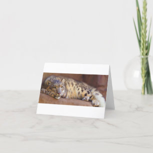 Dangerously close relaxing Snow Leopard blank card