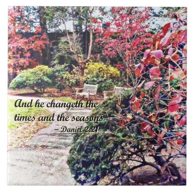 Daniel 2:21 - And he Changeth Tile (Front)