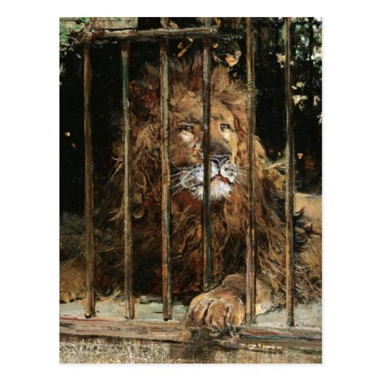 Daniel Hernández Morillo: At the Lion Cage Postcard