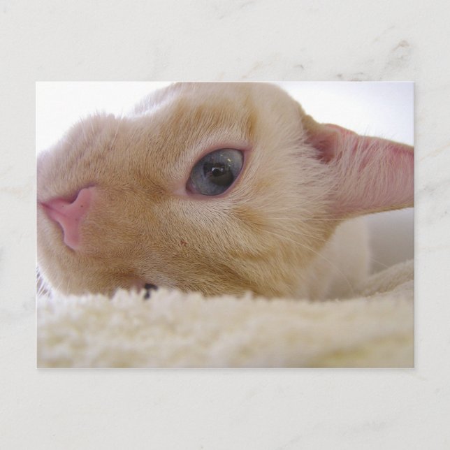 Daniel Postcard (Front)