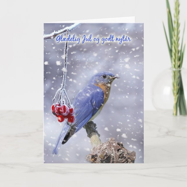 danish christmas card - blue bird with berries and (Front)