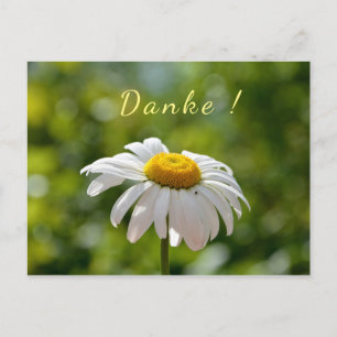 Danke mit einer Margerite Postcard