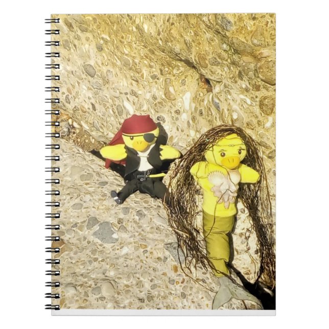 Danni le Carnet de sirène (Devant)