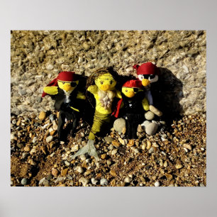 Danni the Mermaid and the Pirates Poster