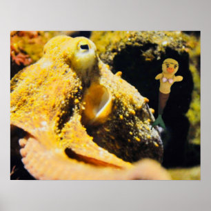 Danni the Mermaid  Poster