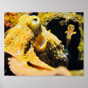 Danni the Mermaid Poster