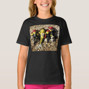 Danni the Mermaid with Pirates T-Shirt