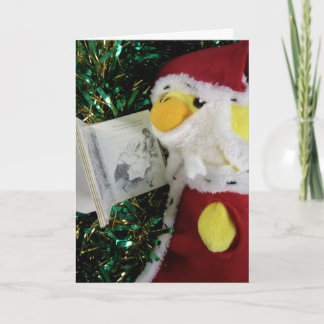 Danny Duck Santa Christmas Card