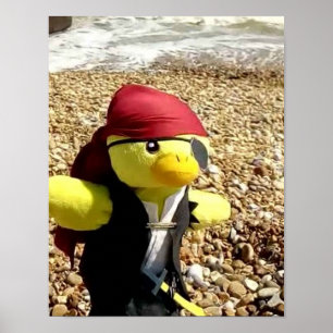 Danny Duck the Pirate Poster