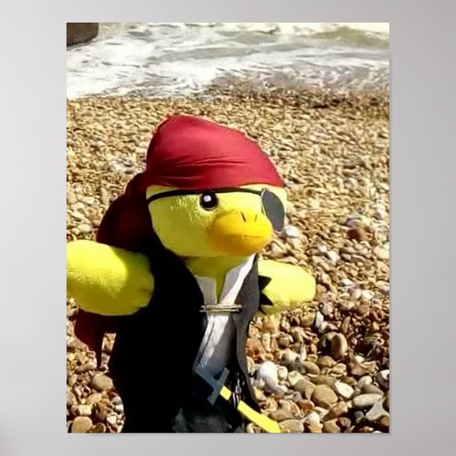 Danny Duck the Pirate Poster (Front)