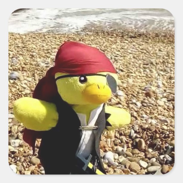 Danny Duck the Pirate  Square Sticker (Front)