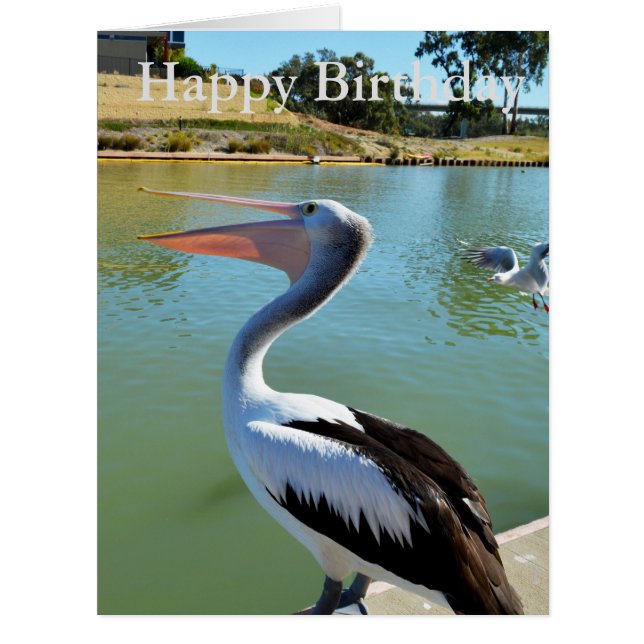 Dans A Happy Pelican Tra Lah, Big Birthday (Devant)