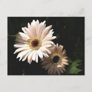 Dans la carte postale du jardin